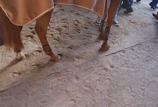 Avantages et inconvénients des tapis à ramper en mousse – Tombarella France