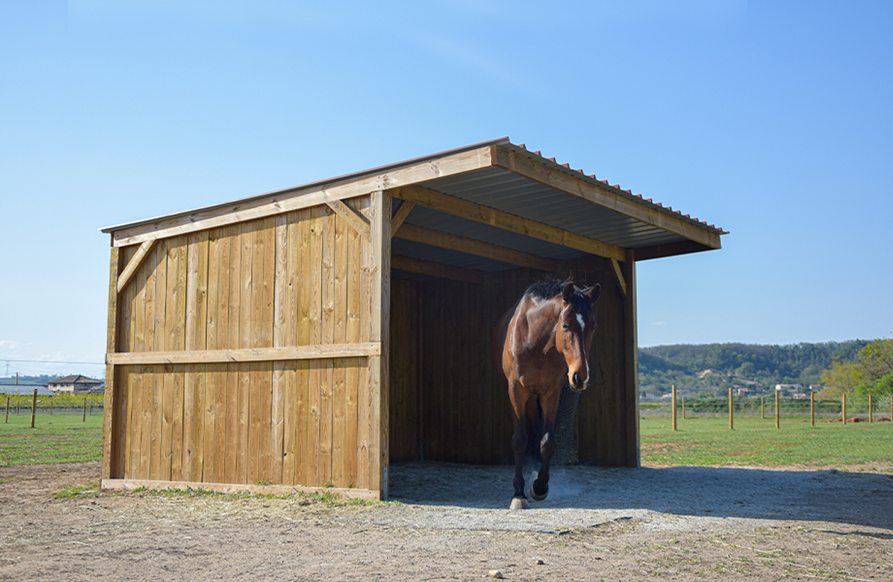 Abris chevaux, Abri bois structure lourde 3 x 9 m