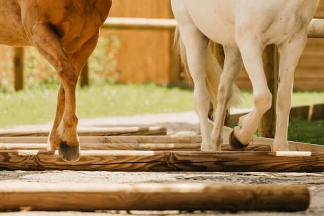 Dalles de stabilisation chevaux 3 cm, au m² – Image 9