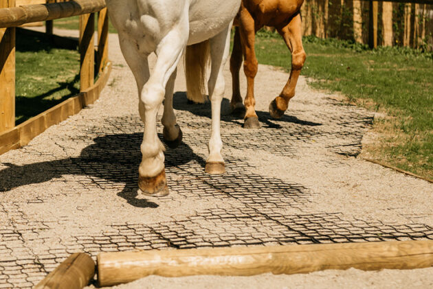 Dalles de stabilisation chevaux 3 cm, au m² – Image 11