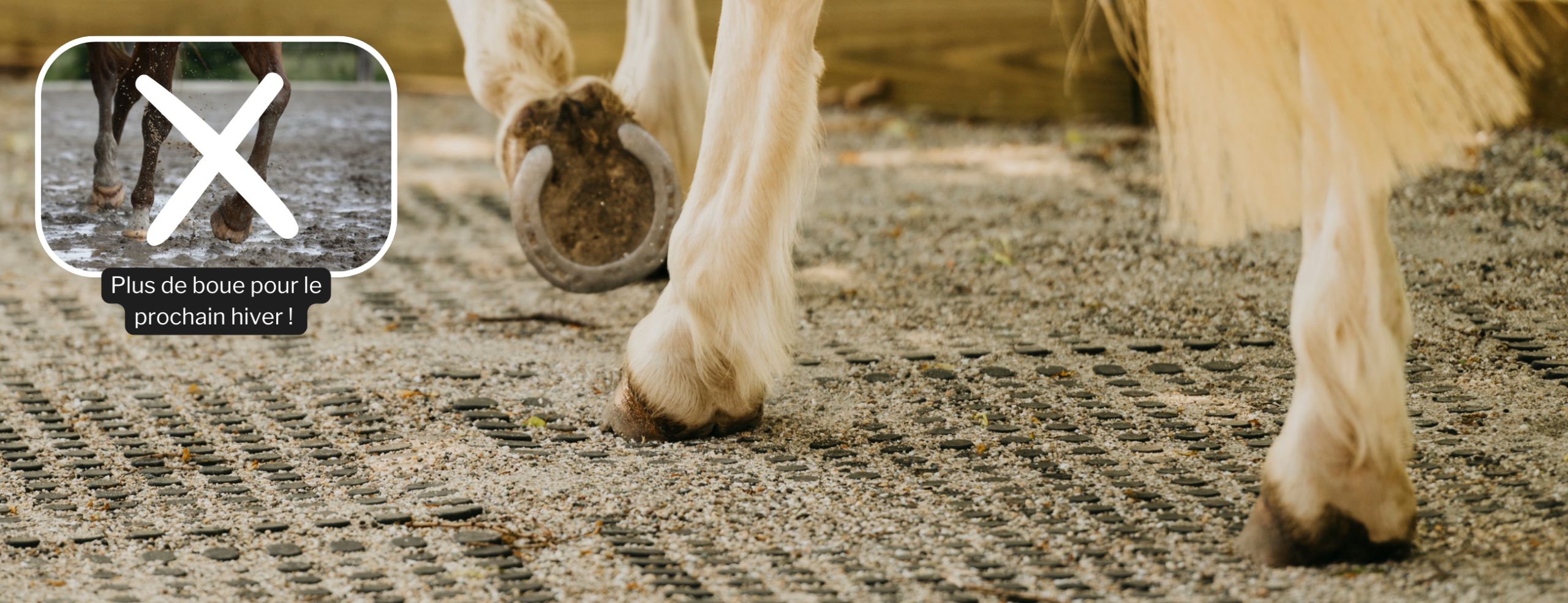 Plus de boue avec horse stop