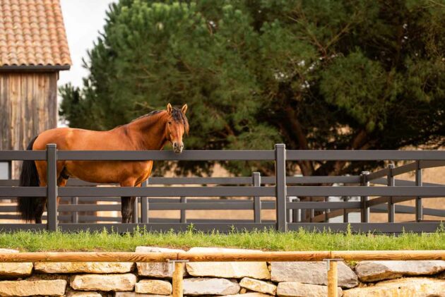 clôture acier Buckley pour chevaux