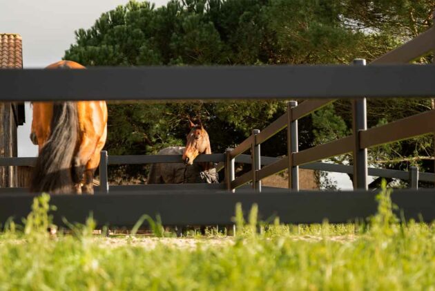 clôture acier Buckley pour chevaux