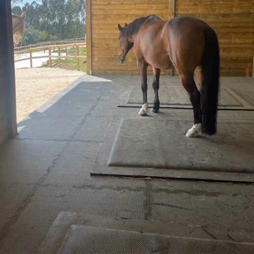 Dalle de box cheval caoutchouc antidérapante Paddock IDS - Equestra