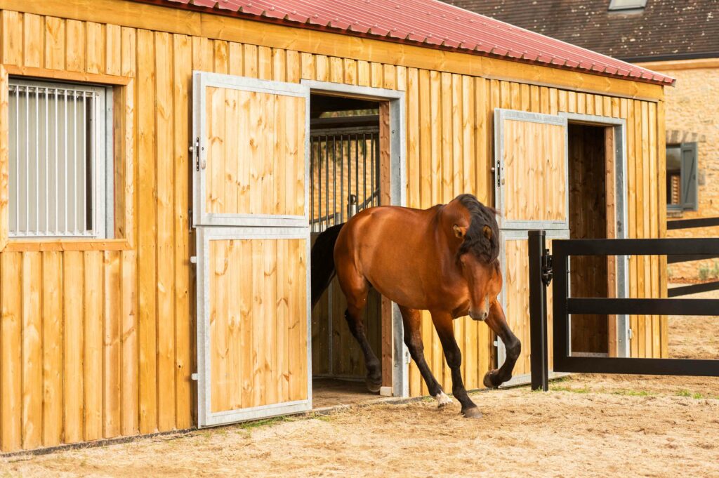 cheval a la sortie du box dans son paddock terrasse stabilisé , infrastructure par horse stop