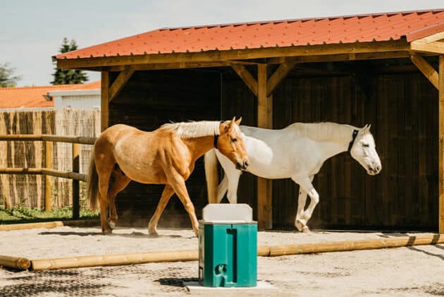 Abreuvoir chevaux antigel Calormax – Image 5