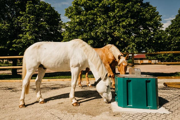 Abreuvoir chevaux antigel Calormax – Image 3