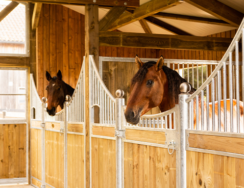 façade de box aménagement d'écurie pour chevaux