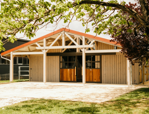 Barn construction bois HORSE STOP