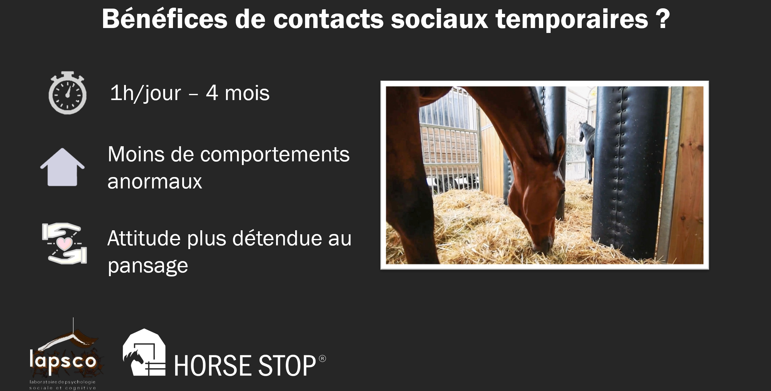 Les bénéfices des contacts sociaux temporaires