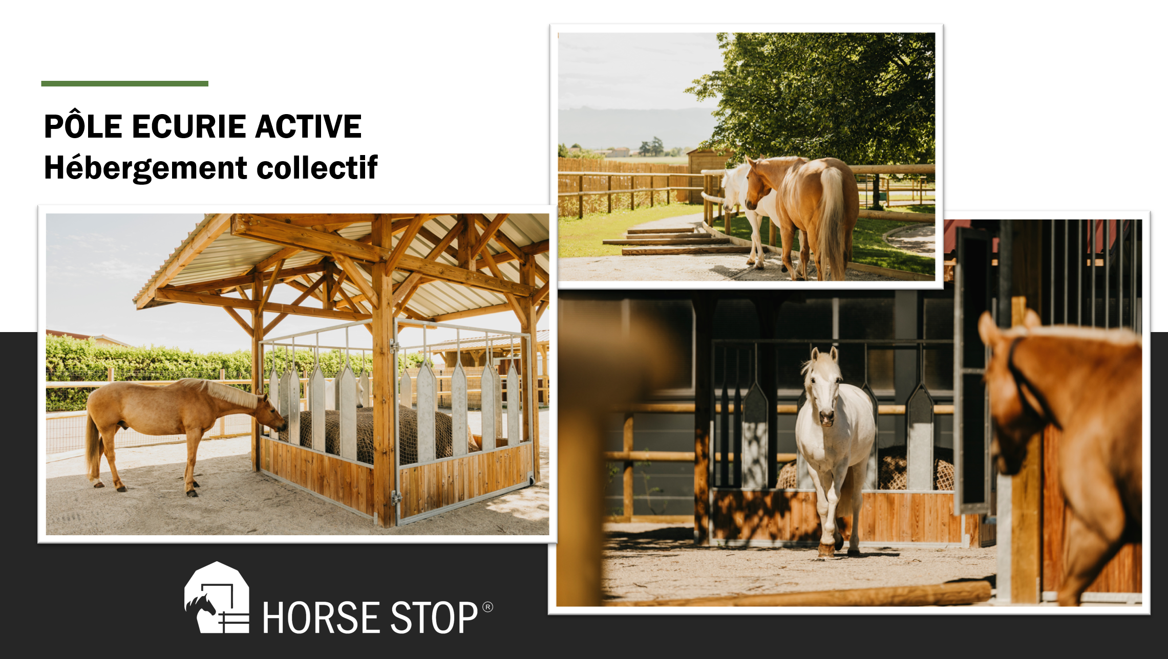 Pôle écurie active showroom HORSE STOP