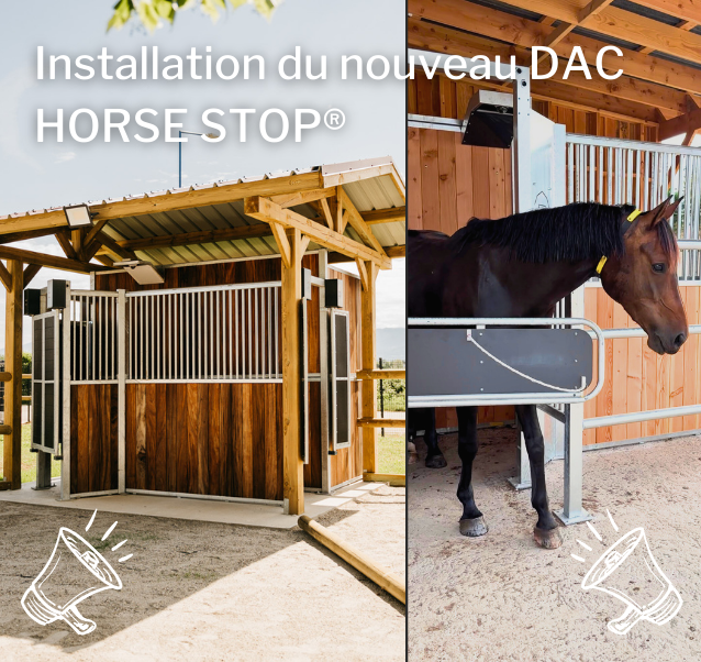 Installation du nouveau DAC HORSE STOP