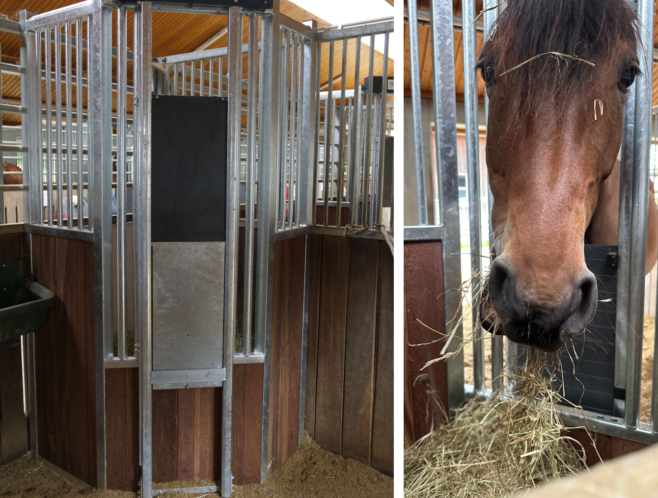 Coulisse à foin HORSE STOP